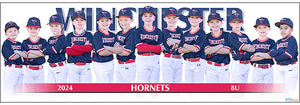 2024 Winchester Hornets 8U