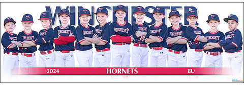 2024 Winchester Hornets 8U