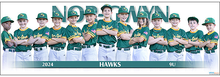 2024 Nor-Gwyn Hawks 9U