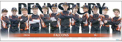 2024 Pennsbury Falcons 9U