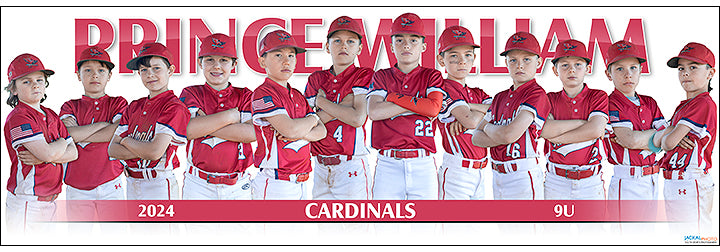 2024 Prince William Cardinals 9U