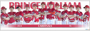 2024 Prince William Cardinals 9U