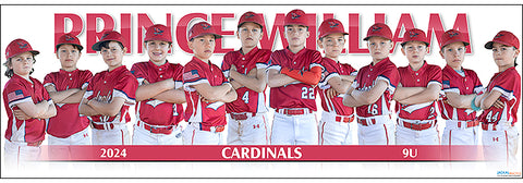 2024 Prince William Cardinals 9U