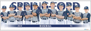 2024 Spring-Ford Baseball 9U