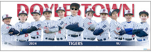 2024 Doylestown Tigers 9U