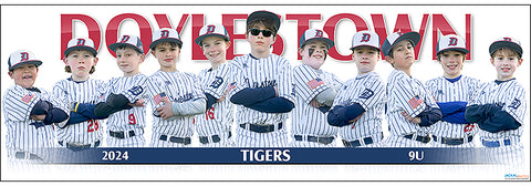 2024 Doylestown Tigers 9U