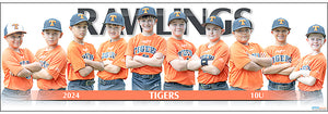 2024 Rawlings Tigers 10U