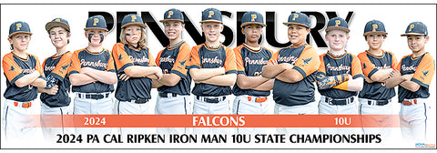 2024 Pennsbury Falcons 10U