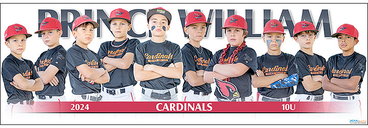 2024 Prince William Cardinals 10U