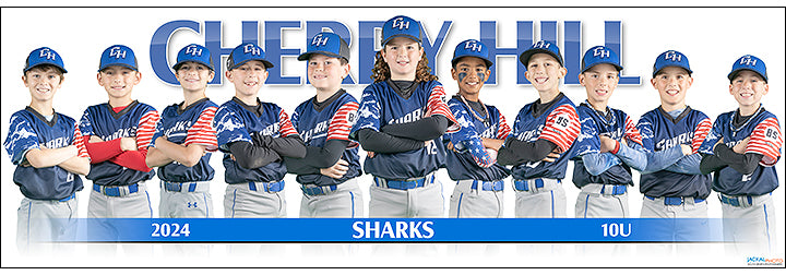 2024 Cherry Hill Atlantic Sharks 10U