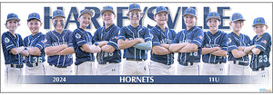 2024 Harleysville Hornets 11U