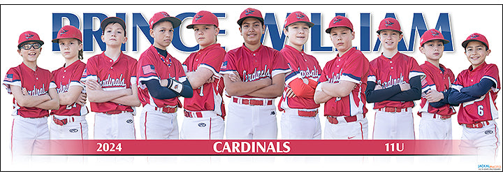 2024 Prince William Cardinals 11U