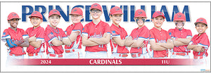 2024 Prince William Cardinals 11U