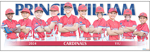 2024 Prince William Cardinals 11U