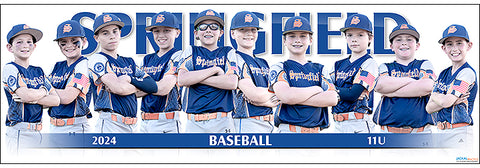 2024 Springfield Baseball 11U