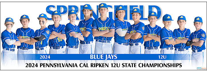 2024 Springfield Blue Jays 12U