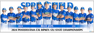 2024 Springfield Blue Jays 12U