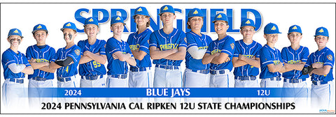 2024 Springfield Blue Jays 12U