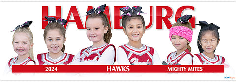 2024 Hamburg Hawks Mighty Mites Cheerleading