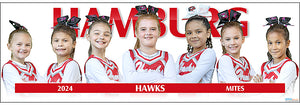 2024 Hamburg Hawks Mites Cheerleading