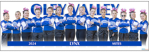 2024 Oley Lynx Mites Cheerleading