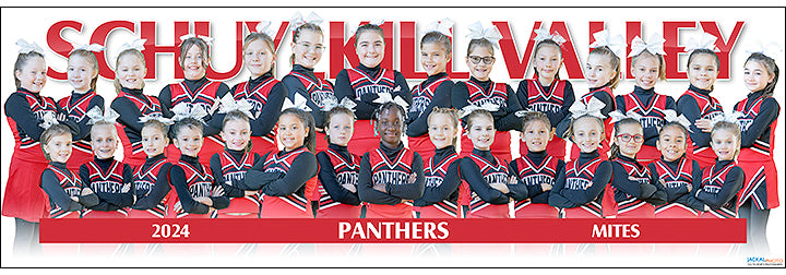 2024 Schuylkill Valley Panthers Mites Cheerleading