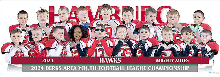 Hamburg Hawks Mighty Mites Football