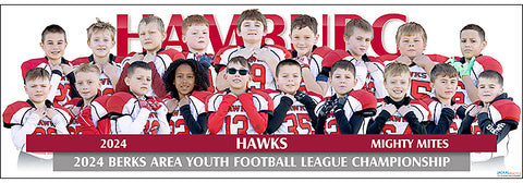 Hamburg Hawks Mighty Mites Football