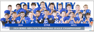 Oley Valley Lynx Mites Football