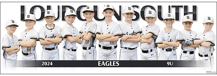 2024 Loudoun South Eagles 9U