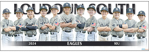 2024 Loudoun South Eagles 10U