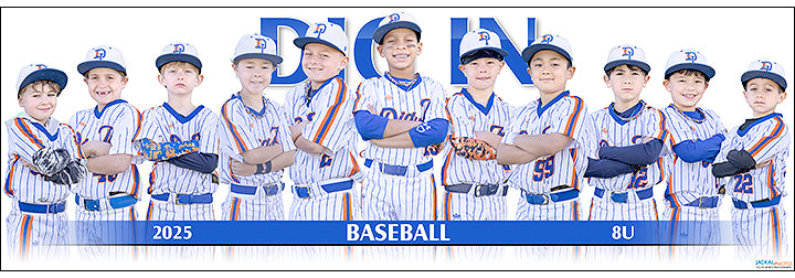 2025 Dig In Baseball 8U