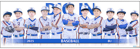 2025 Dig In Baseball 8U