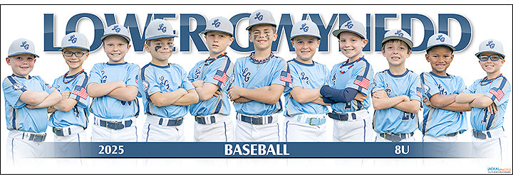 2025 Lower Gwynedd Baseball 8U