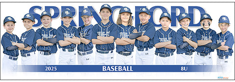 2025 Spring-Ford Baseball 8U Blue