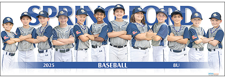 2025 Spring-Ford Baseball 8U Gold