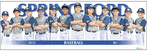 2025 Spring-Ford Baseball 8U Gold