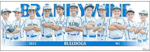 2025 Brandywine Bulldogs 9UB