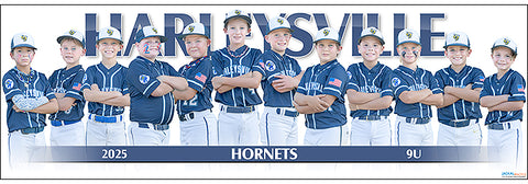 2025 Harleysville Hornets 9UB