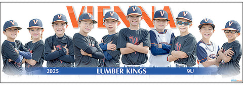 2025 Vienna Lumber Kings 9U