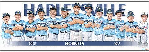 2025 Harleysville Hornets 10UB