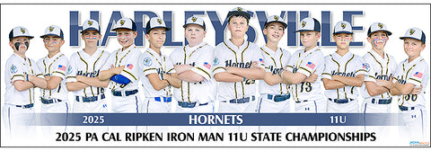 2025 Harleysville Hornets 11UB