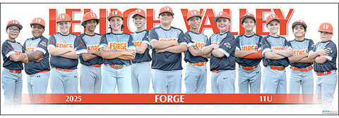 2025 Lehigh Valley Forge 11UB