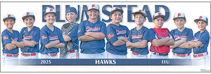 2025 Plumstead  Baseball 11UB