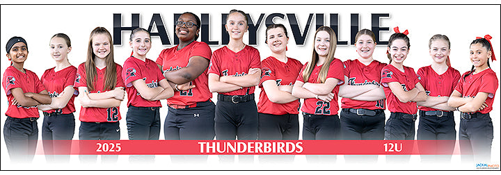 2025 Harleysville Thunderbirds 12U