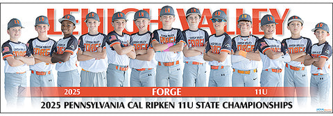 2025 Lehigh Valley Forge 11U