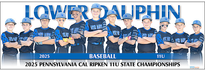2025 Lower Dauphin Baseball 11U
