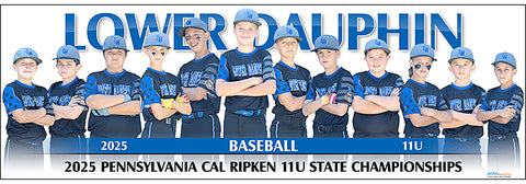 2025 Lower Dauphin Baseball 11U