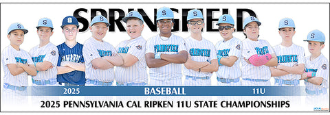 2025 Springfield Baseball 11U