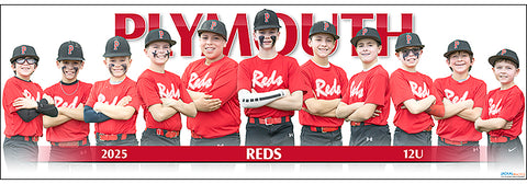 2025 Plymouth Reds 12UB